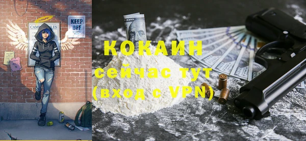 spice Богородск