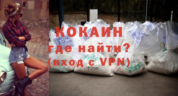 spice Богородск
